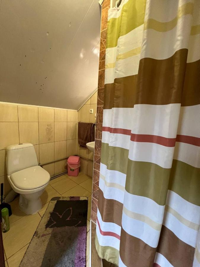 Джинджура Vorokhta Dış mekan fotoğraf